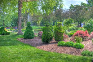 Topiary 5